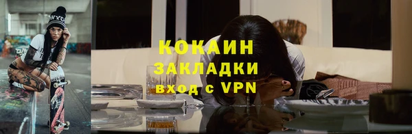 ПСИЛОЦИБИНОВЫЕ ГРИБЫ Абаза