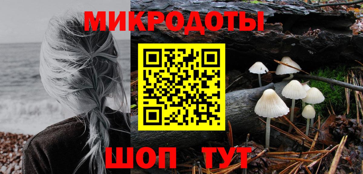 Великий Новгород  Псилоцибиновые грибы Psilocybine cubensis  Вход с VPN 