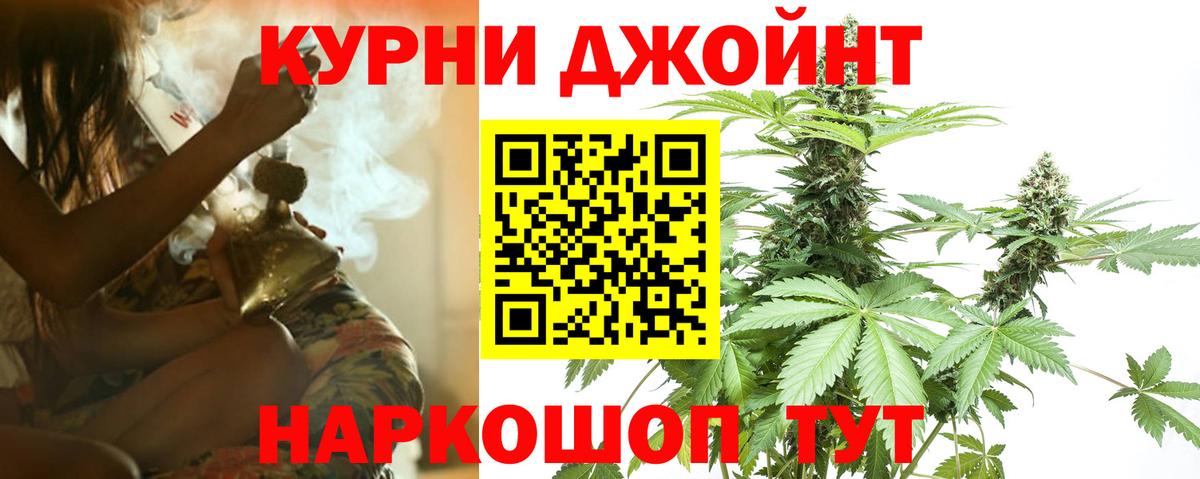 Каннабис White Widow  Шишки марихуана ГИДРОПОН  Каннабис Amnesia  Великий Новгород  Вход с VPN  Конопля сатива 